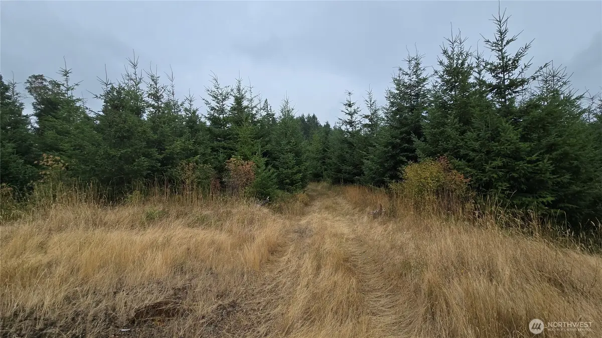 9207 Tract B Old Olympic Highway Nw, Olympia, WA 98502 - #1