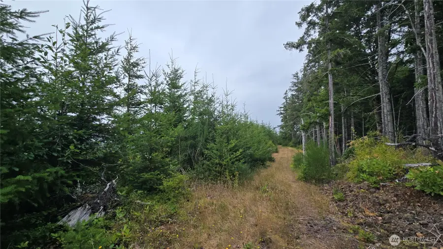 9207 Tract B Old Olympic Highway Nw, Olympia, WA 98502 - #3