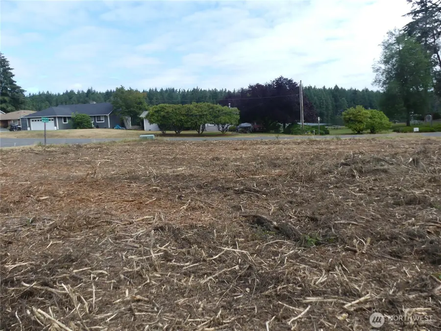 10107 Narrows Drive #65 & 66, Anderson Island, WA 98303 - #2