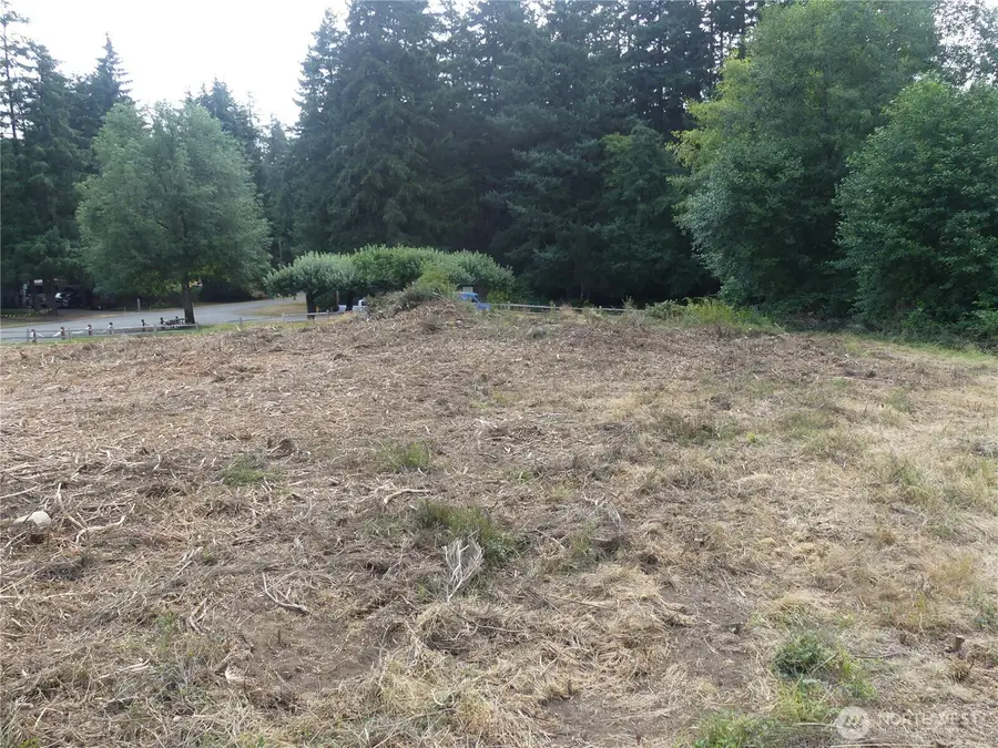 10107 Narrows Drive #65 & 66, Anderson Island, WA 98303 - #3