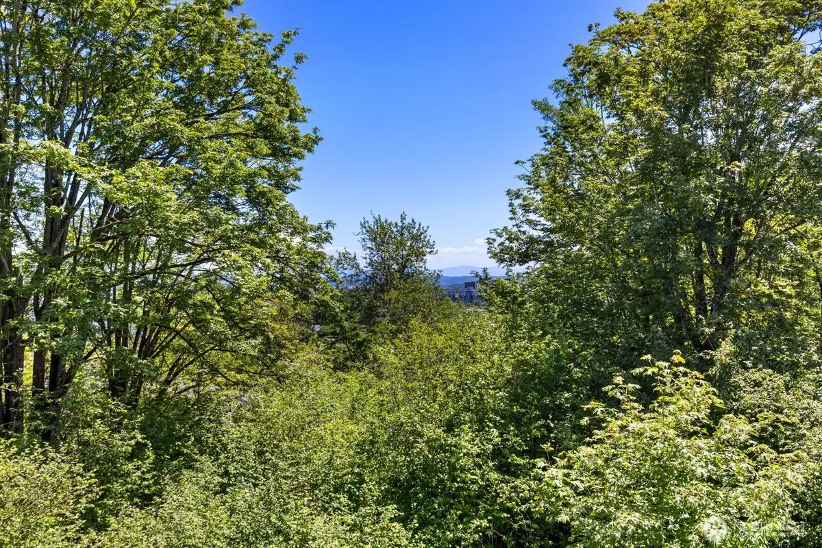 6726 35th Place S, Seattle, WA 98118 - #1