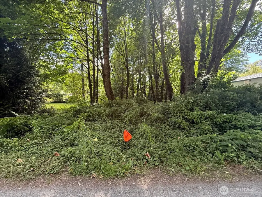 0 Cape Horn Drive #20, Concrete, WA 98237 - #3