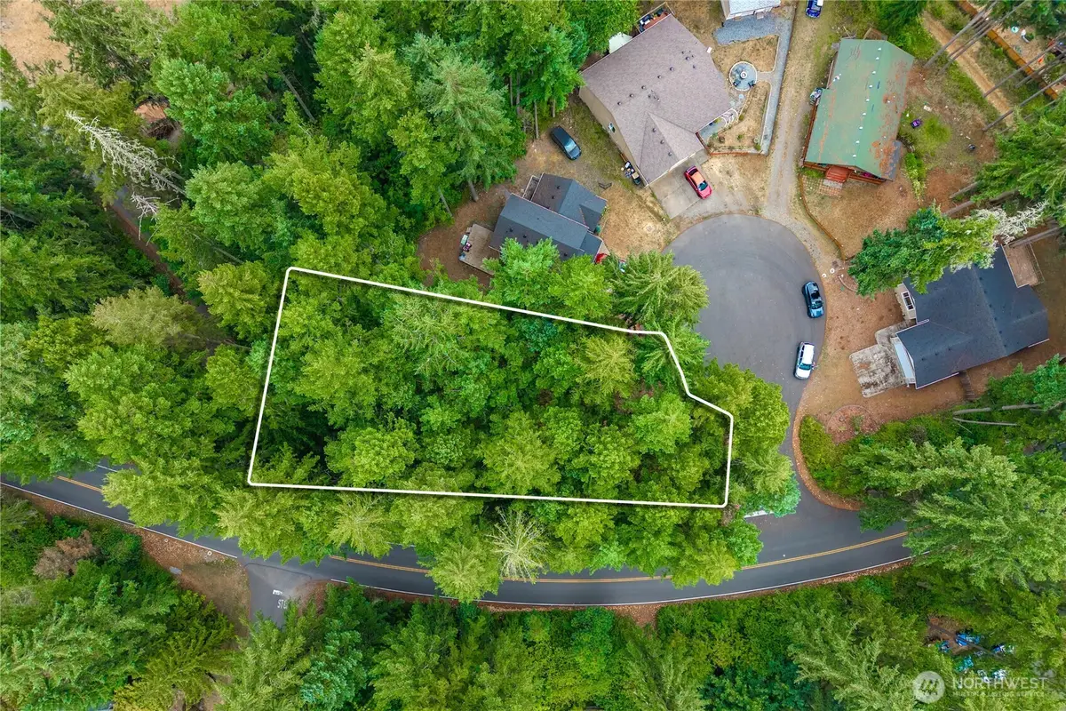 18236 Blue Hills Drive Se, Yelm, WA 98597 - #1