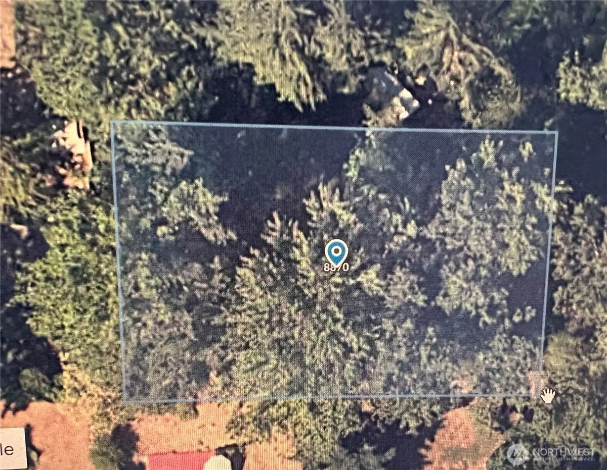 8870 S C Street, Tacoma, WA 98444 - #1