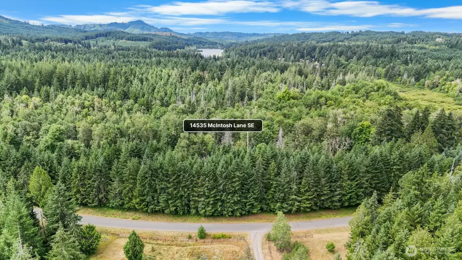 14535 Mcintosh Lane Se, Tenino, WA 98589 - #2