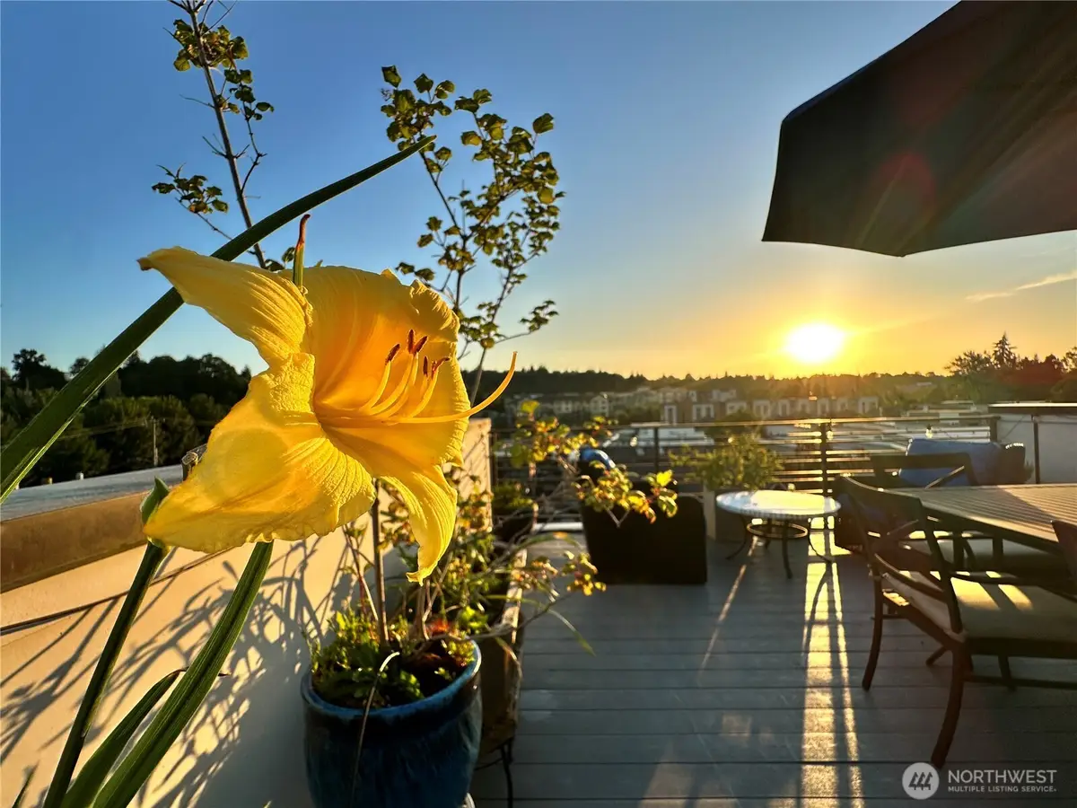 3638 Courtland Place S #B, Seattle, WA 98144 - #1