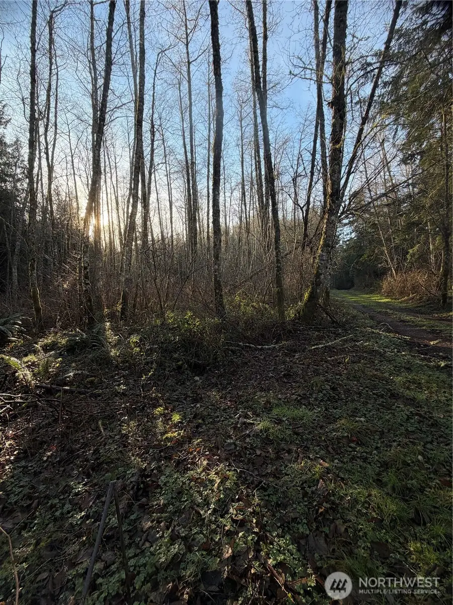 4 House Place, Camano Island, WA 98282 - #2