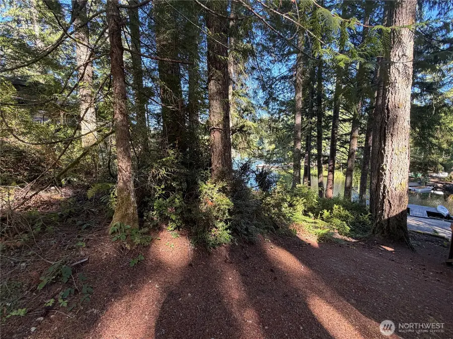 14 NE Tahuya Blacksmith Road, Tahuya, WA 98588 - #3
