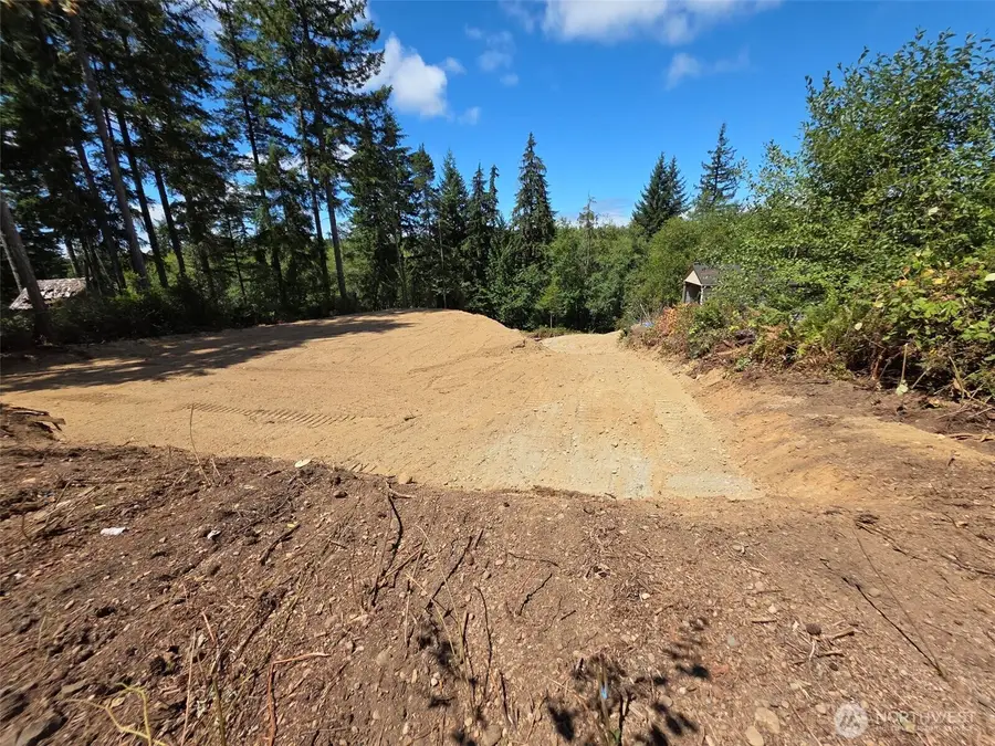 0 E Rasor Road, Belfair, WA 98528 - #3