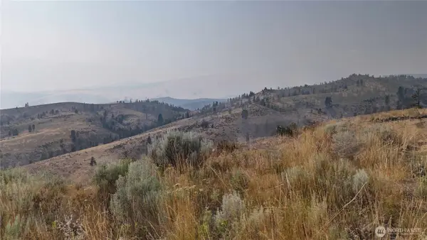 0 Nna Purtteman Gulch Rd., Chelan, WA 98816