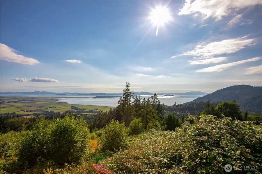 3251 Blanchard Knob Trail, Burlington, WA 98233 - #3
