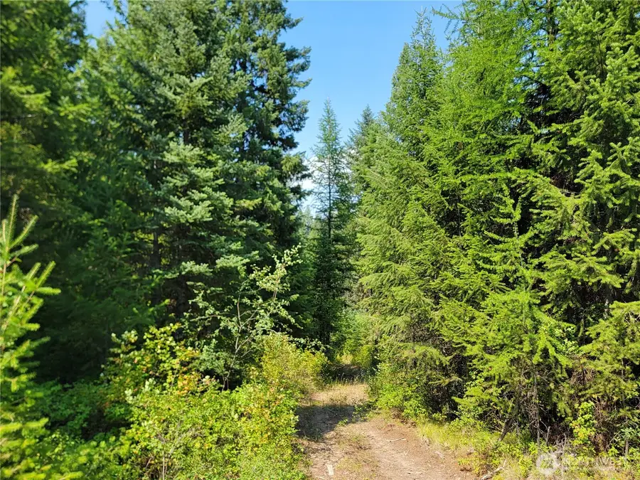 181 New Hope Drive #Govt Lot 2, Malo, WA 99150 - #2