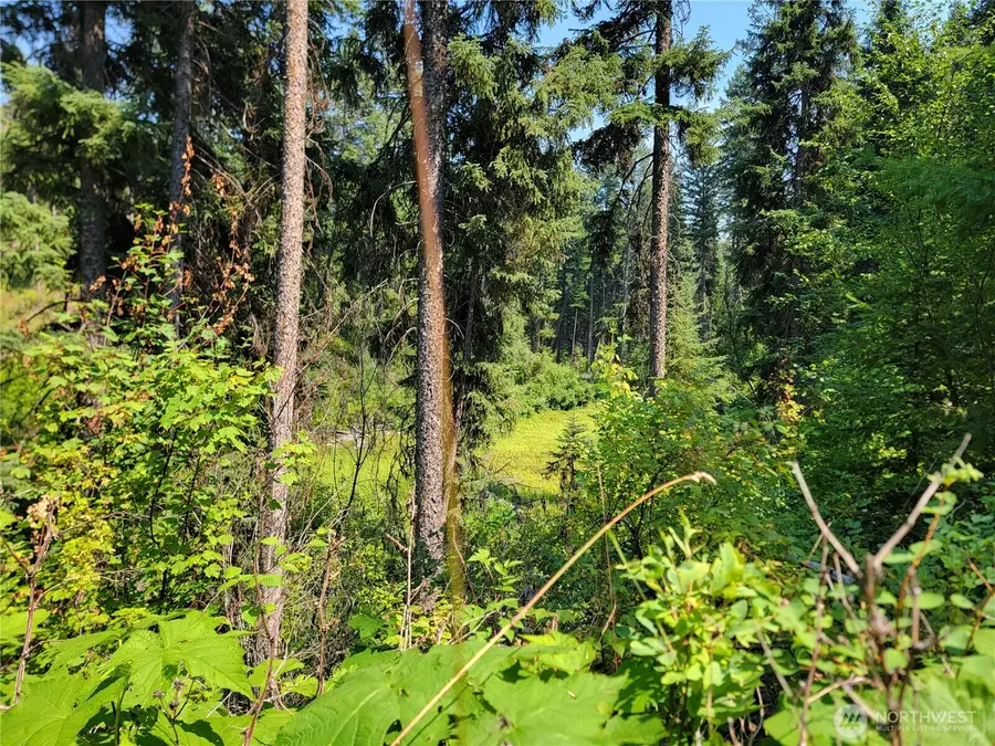 181 New Hope Drive #Govt Lot 2, Malo, WA 99150 - #3
