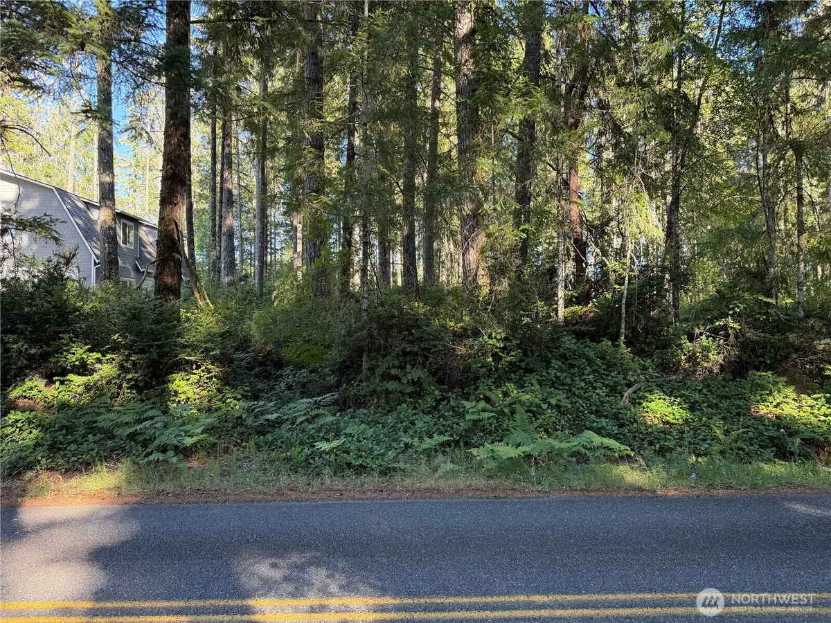 0 E Mason Lake Drive E #43, Grapeview, WA 98546 - #1