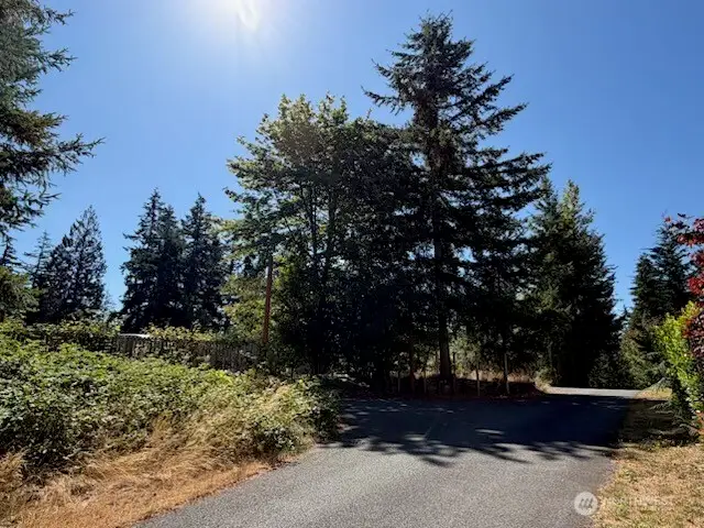 26003 SE Issaquah-fall City Road, Issaquah, WA 98029 - #3
