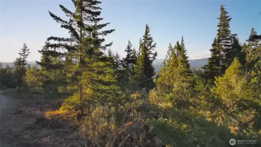 8440 Upper Peoh Point Rd, Cle Elum, WA 98922 - #3