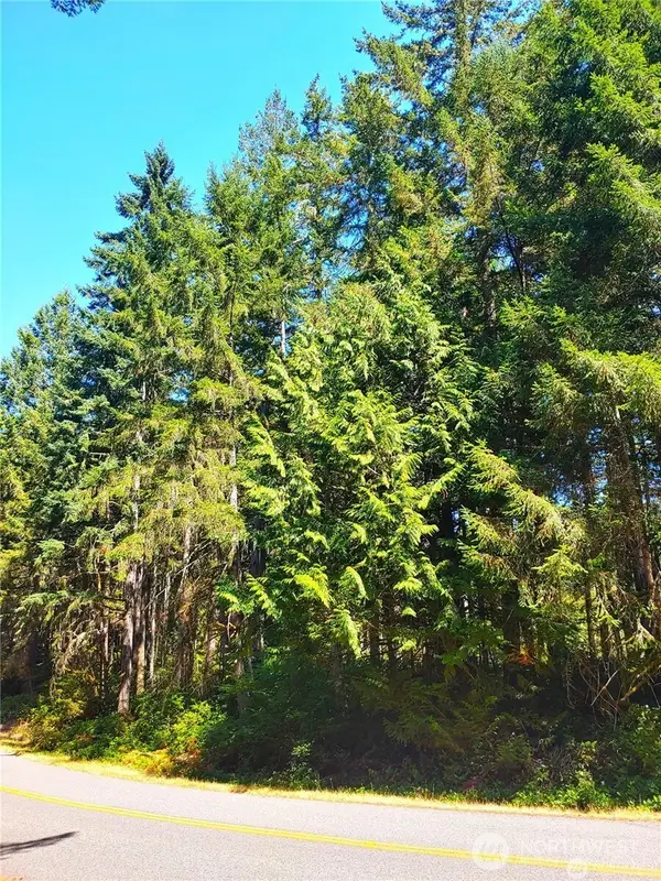 11511 Lake Josephine Boulevard #61, Anderson Island, WA 98303