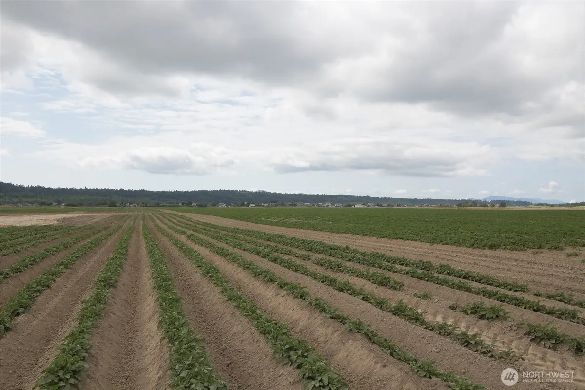0 Downey Road, Mount Vernon, WA 98273 - #1