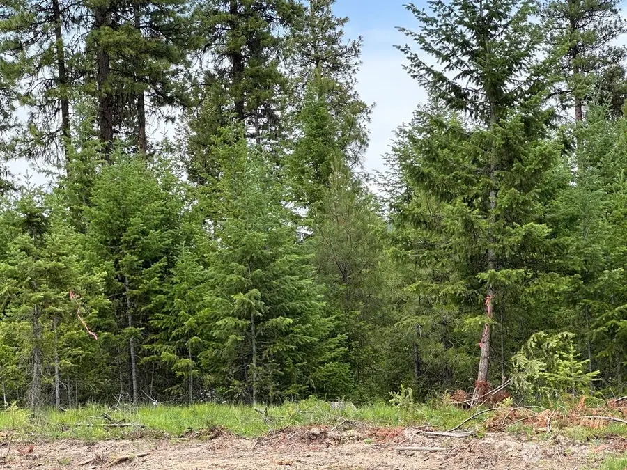 3600 Sheridan, Republic, WA 99166 - #2