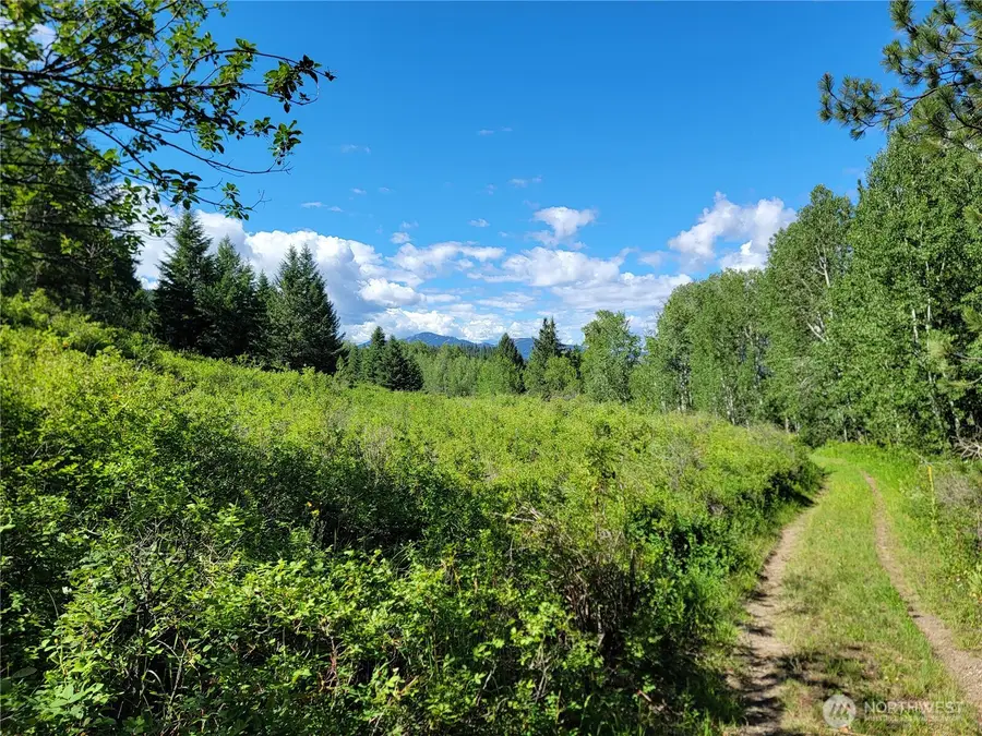 29 Yellow Brick Road, Republic, WA 99166 - #2