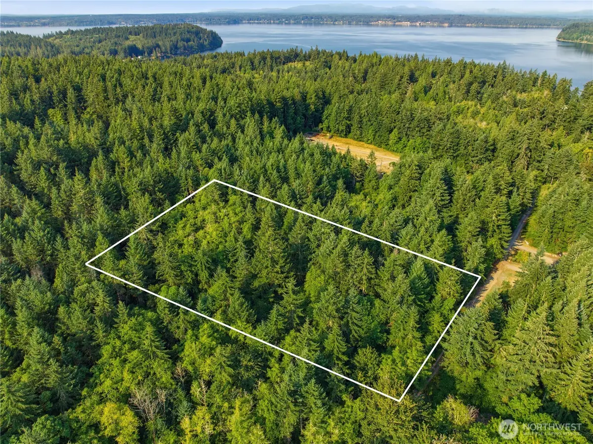 13512 94th Street, Anderson Island, WA 98303 - #1