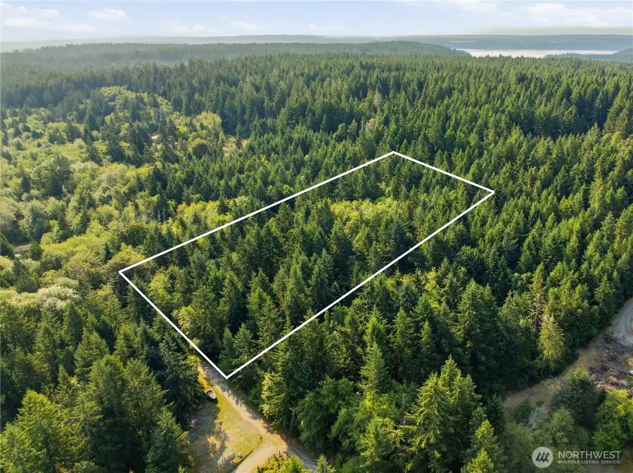 13512 94th Street, Anderson Island, WA 98303 - #3