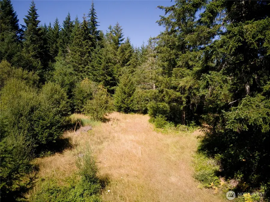 0 E Scarlet Road, Shelton, WA 98584 - #2