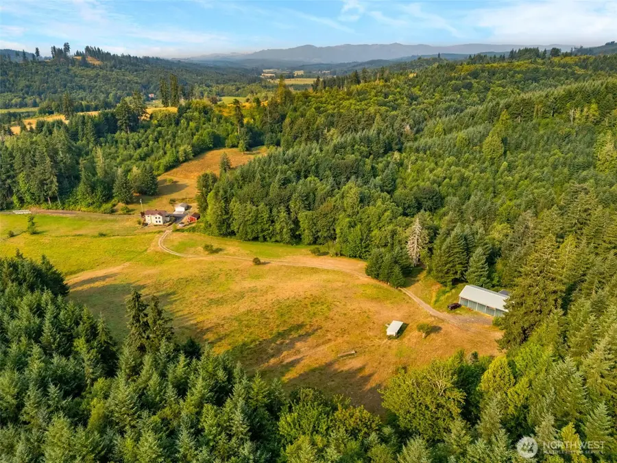 1136 Lincoln Creek Road Sw, Rochester, WA 98579 - #3