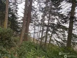 4 Fauntleroy Point Rd #4, Blakely Island, WA 98221 - #3