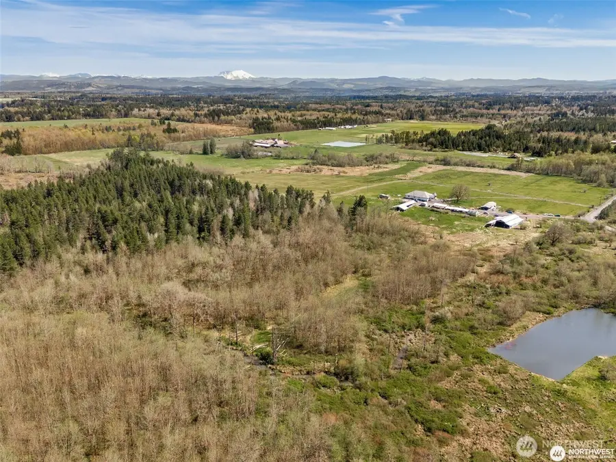 222 Nicholson Road, Ethel, WA 98542 - #3