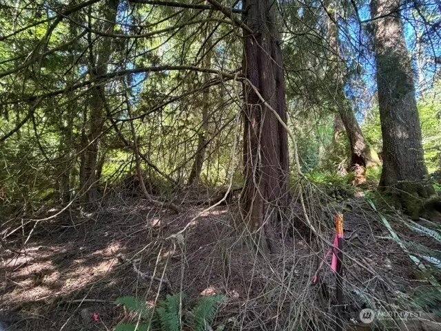 0 Weyers Lane Sw, Port Orchard, WA 98366 - #2