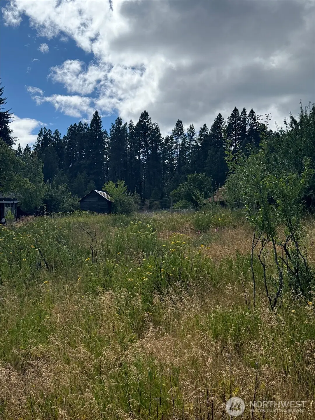 0 S 2nd Street, Roslyn, WA 98941 - #1