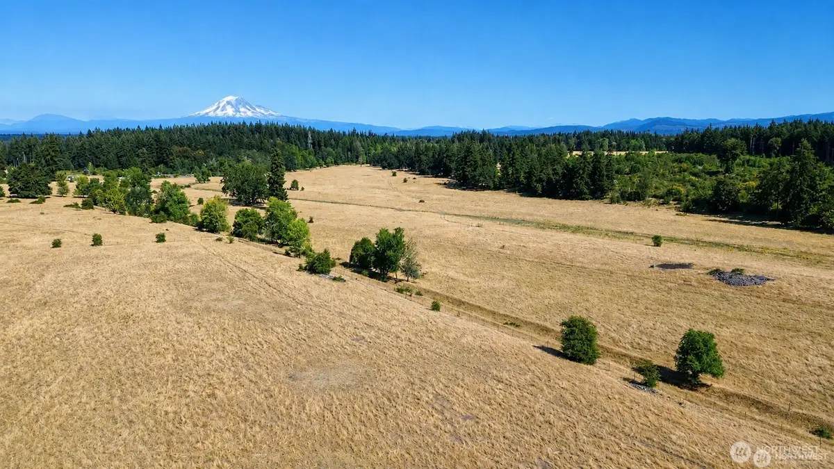 12306 Bald Hill Rd Se, Yelm, WA 98597 - #1