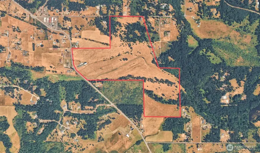 12306 Bald Hill Rd Se, Yelm, WA 98597 - #3