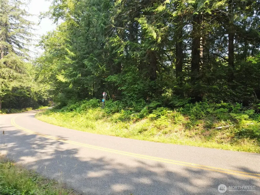 0 Gallagher Road, Shelton, WA 98584 - #3