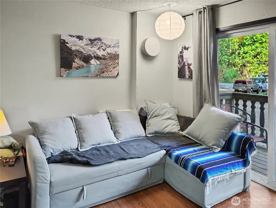 10433 Mt. Baker Highway #1017A, Glacier, WA 98244 - #3