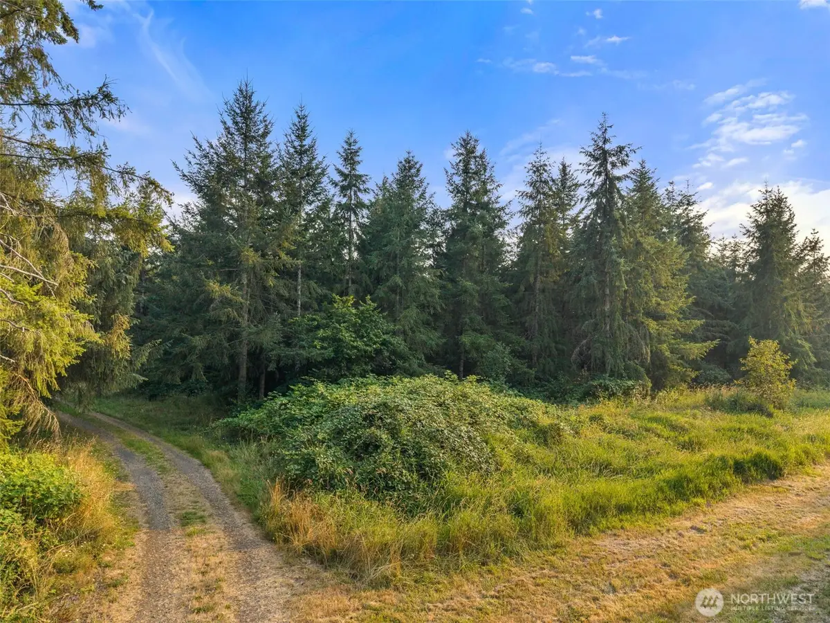 1 Aslpach Road, Onalaska, WA 98570 - #1