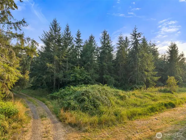 1 Aslpach Road, Onalaska, WA 98570