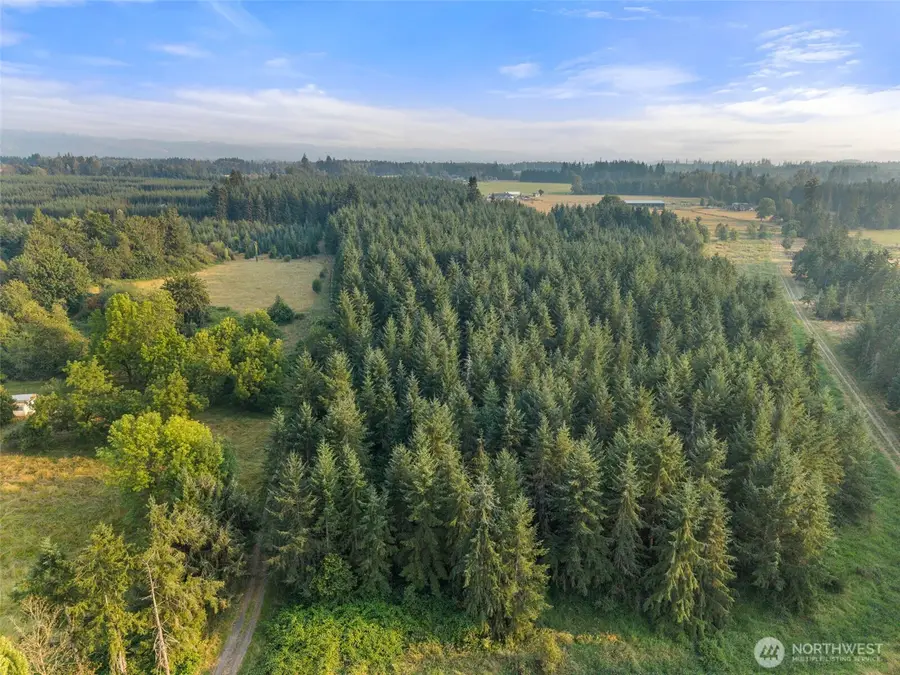 1 Aslpach Road, Onalaska, WA 98570 - #2