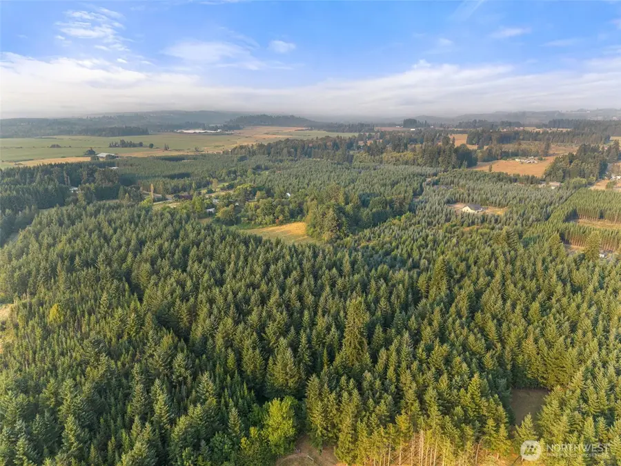1 Aslpach Road, Onalaska, WA 98570 - #3
