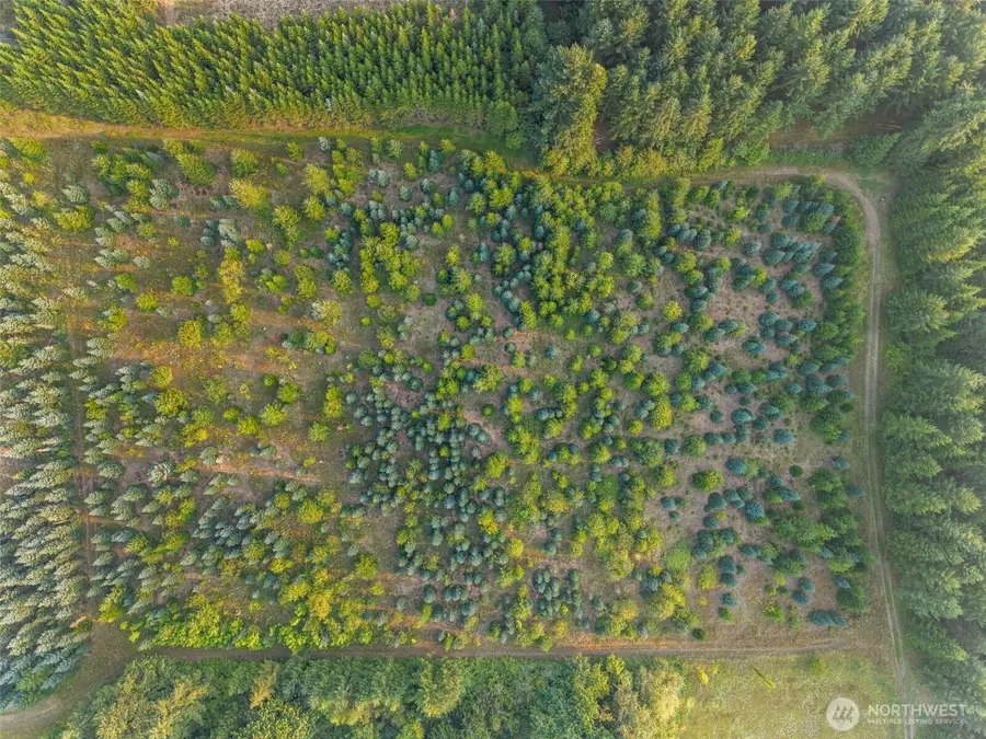 4 Alspach Road, Onalaska, WA 98570 - #3