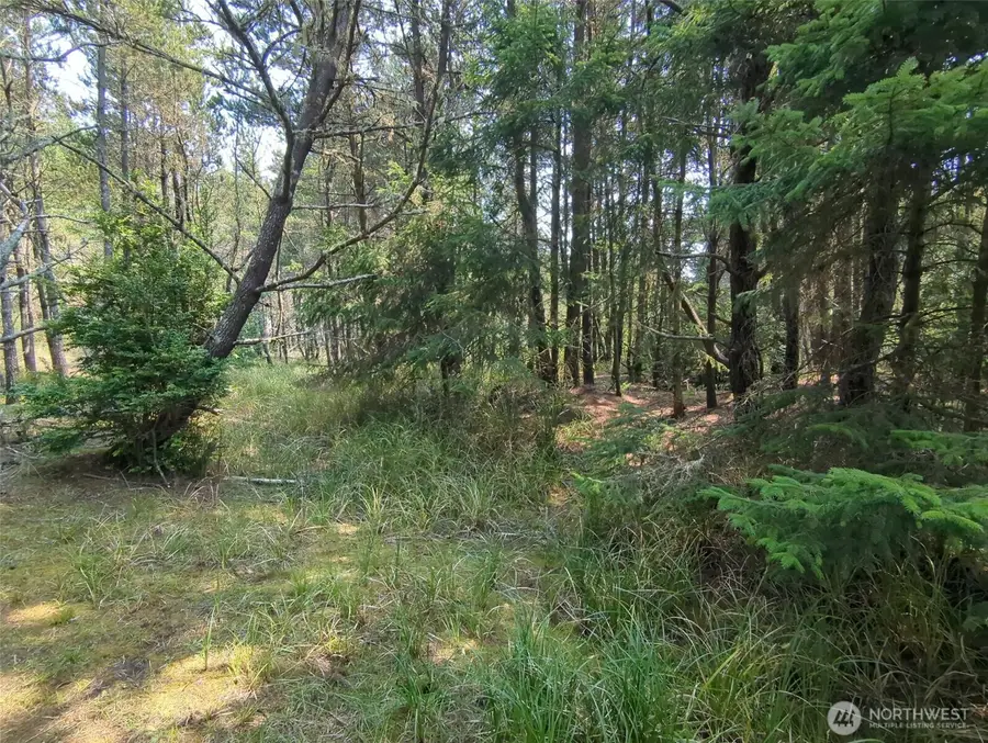 26804 J Lane #4, Ocean Park, WA 98640 - #2