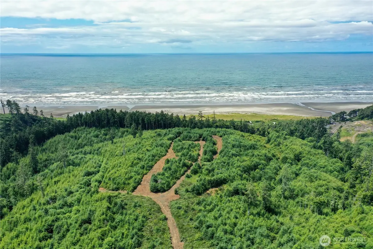 0 State Route 109 #Lots 1 -2 S32 T20 R12, Pacific Beach, WA 98571 - #1