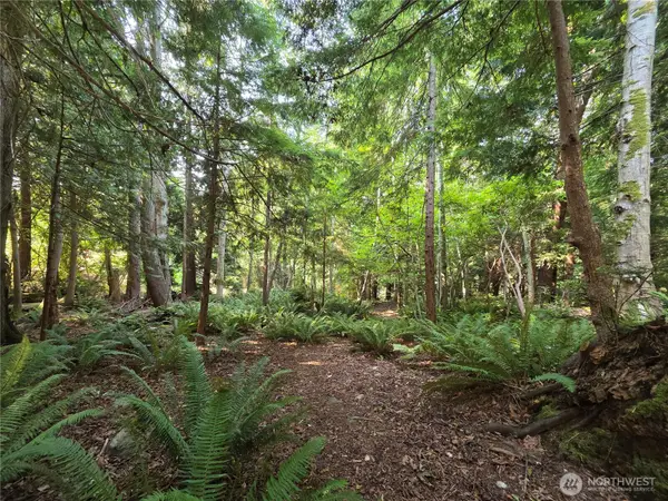0 Cirque Drive, Brinnon, WA 98320