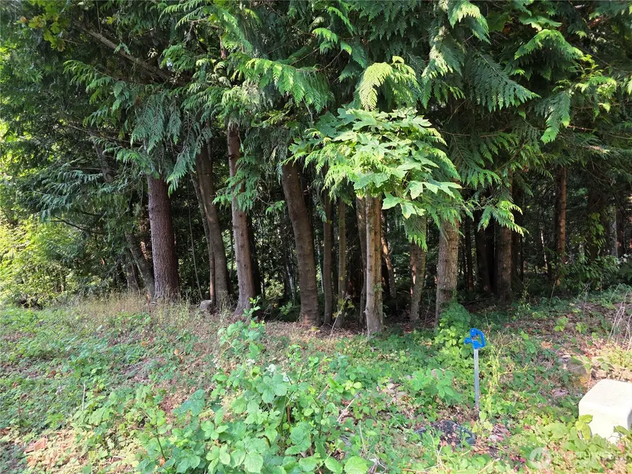 0 Cirque Drive, Brinnon, WA 98320 - #3