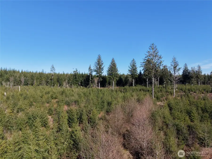 0 Kirkpatrick Road, Hoquiam, WA 98550 - #3