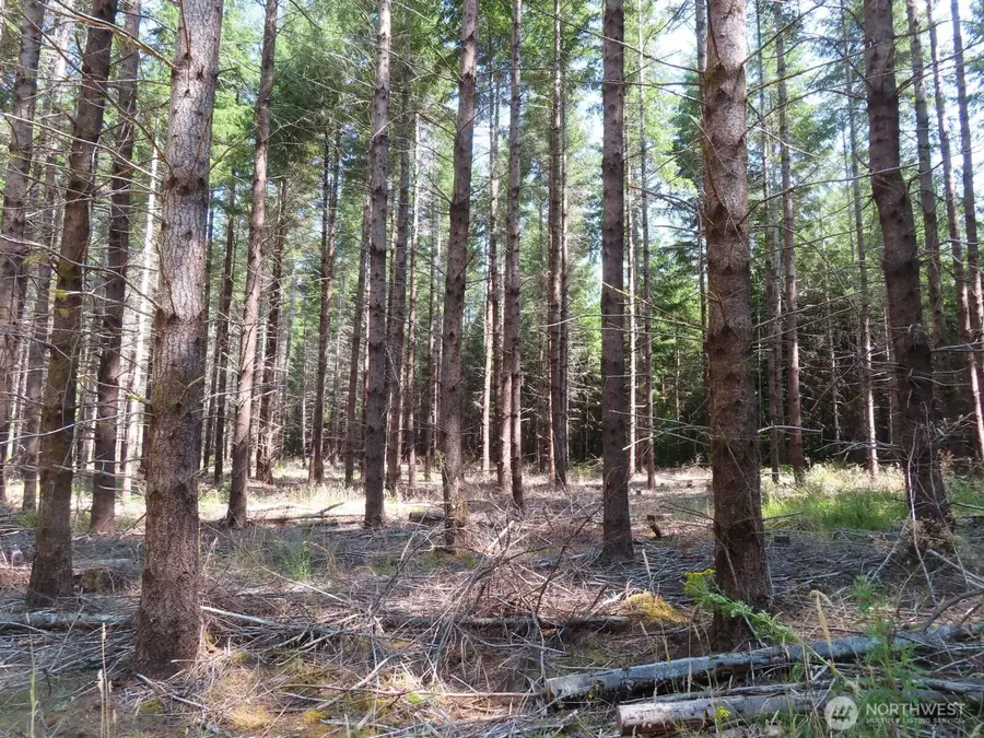 0 Chandler Road, Bunker, WA 98572 - #3