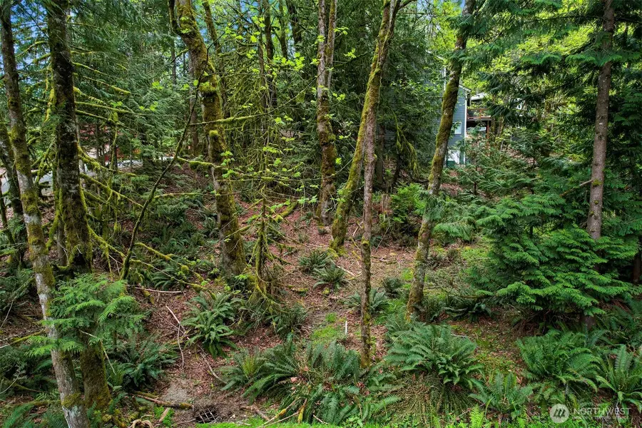 2 Indian Ridge Court, Bellingham, WA 98229 - #3