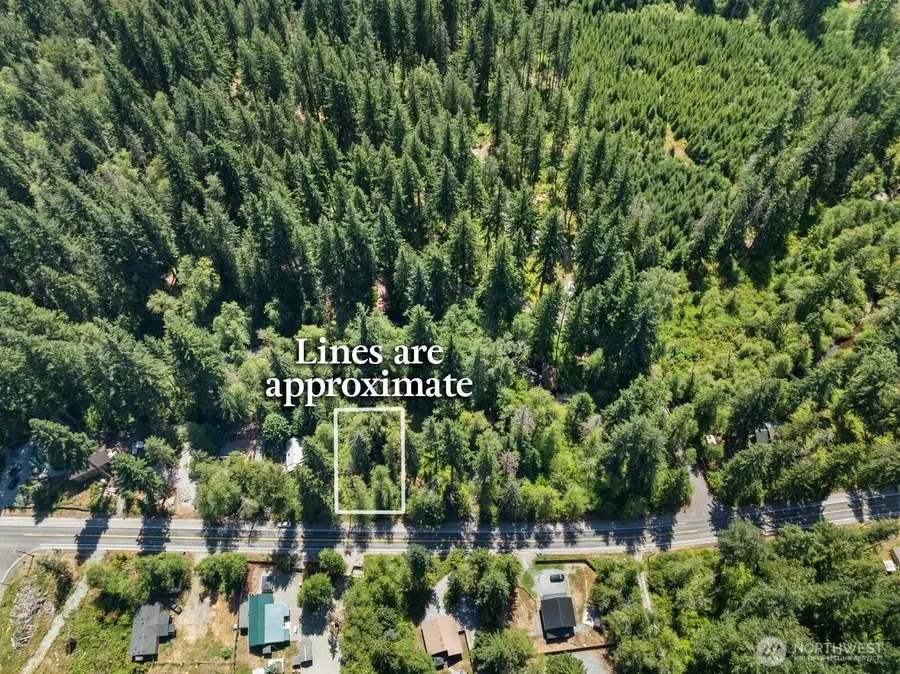 320 Skate Creek Road N #5, Ashford, WA 98304 - #2