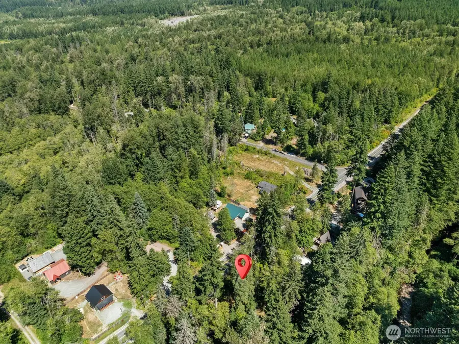 320 Skate Creek Road N #5, Ashford, WA 98304 - #3
